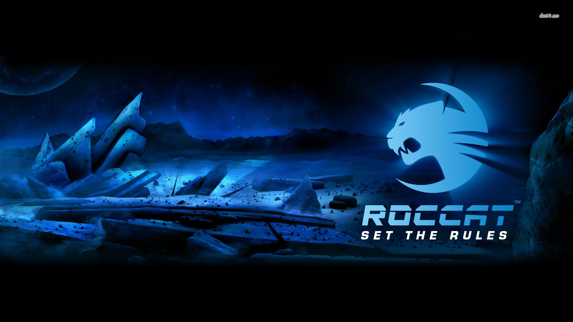 roccat wallpaper,font,animation,graphic design,graphics,darkness