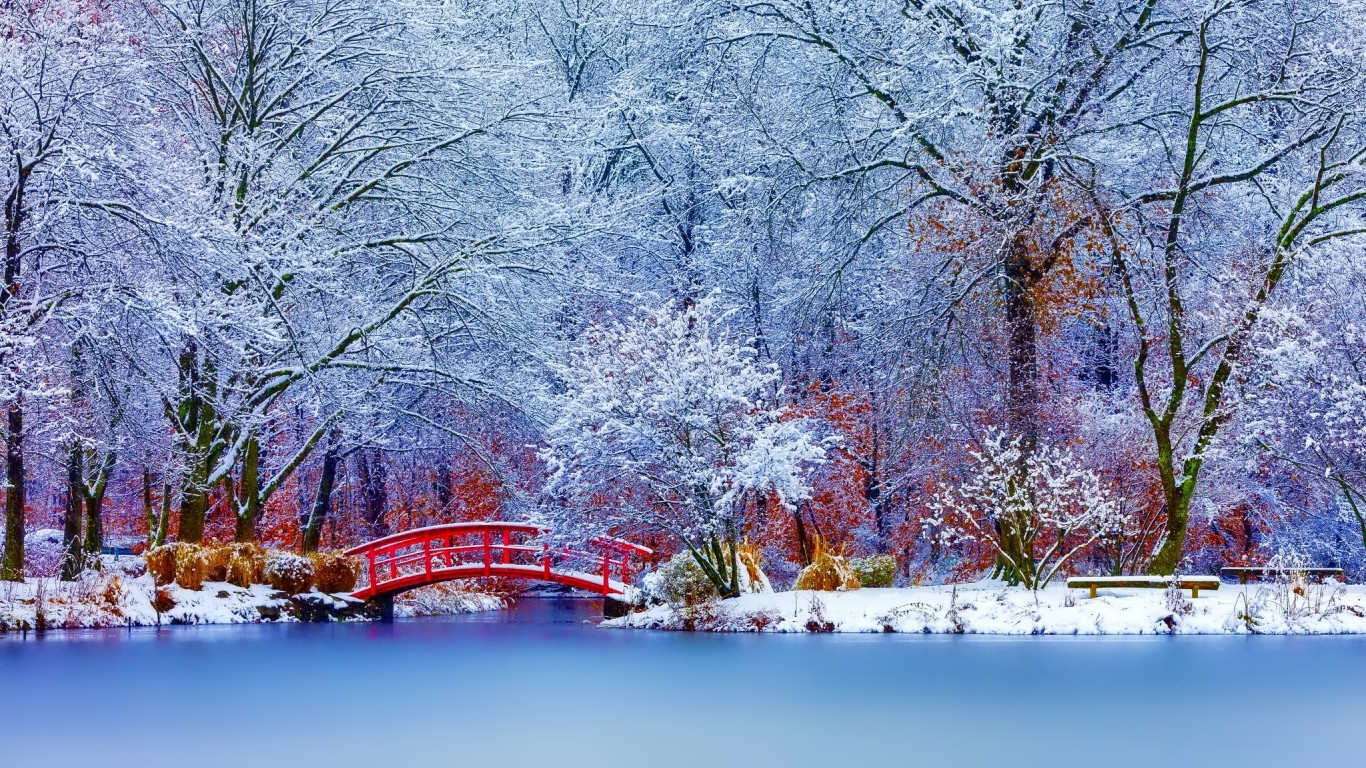 wallpaper hiver,winter,snow,nature,natural landscape,tree