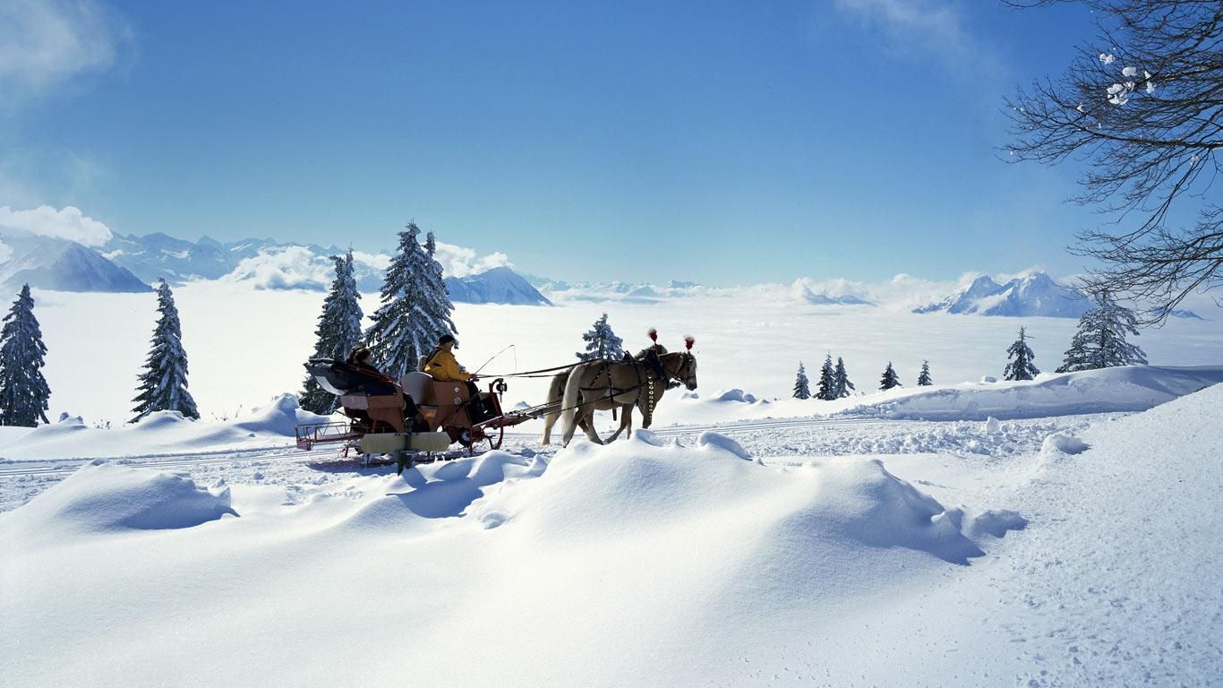 壁紙ハイバー,冬,雪,車両,北極