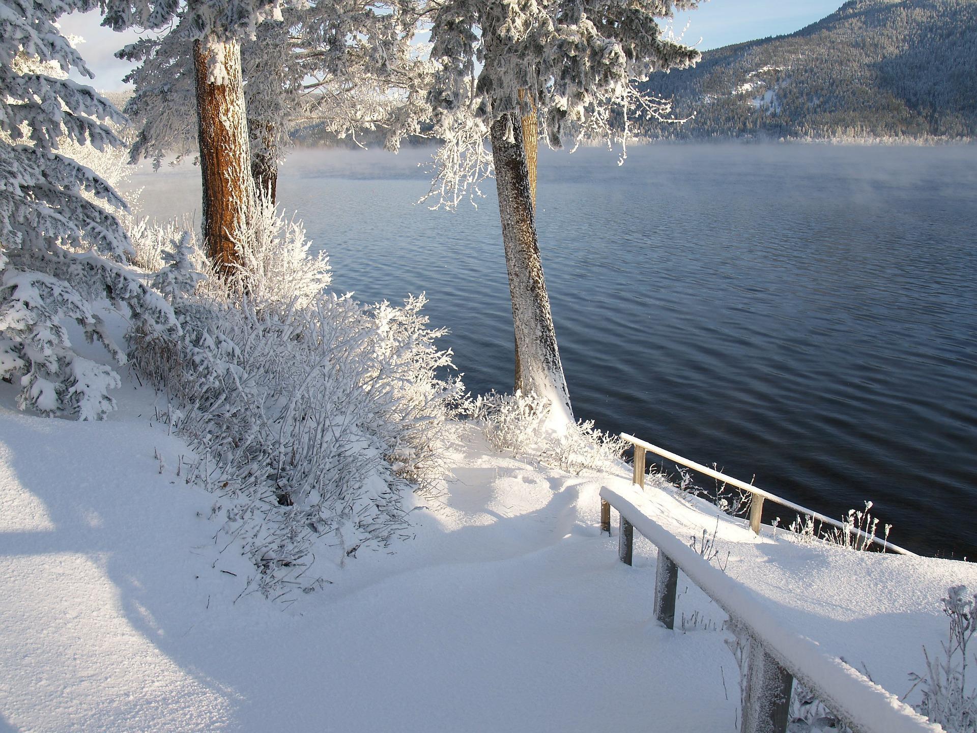 tapete hiver,schnee,winter,einfrieren,eis,baum