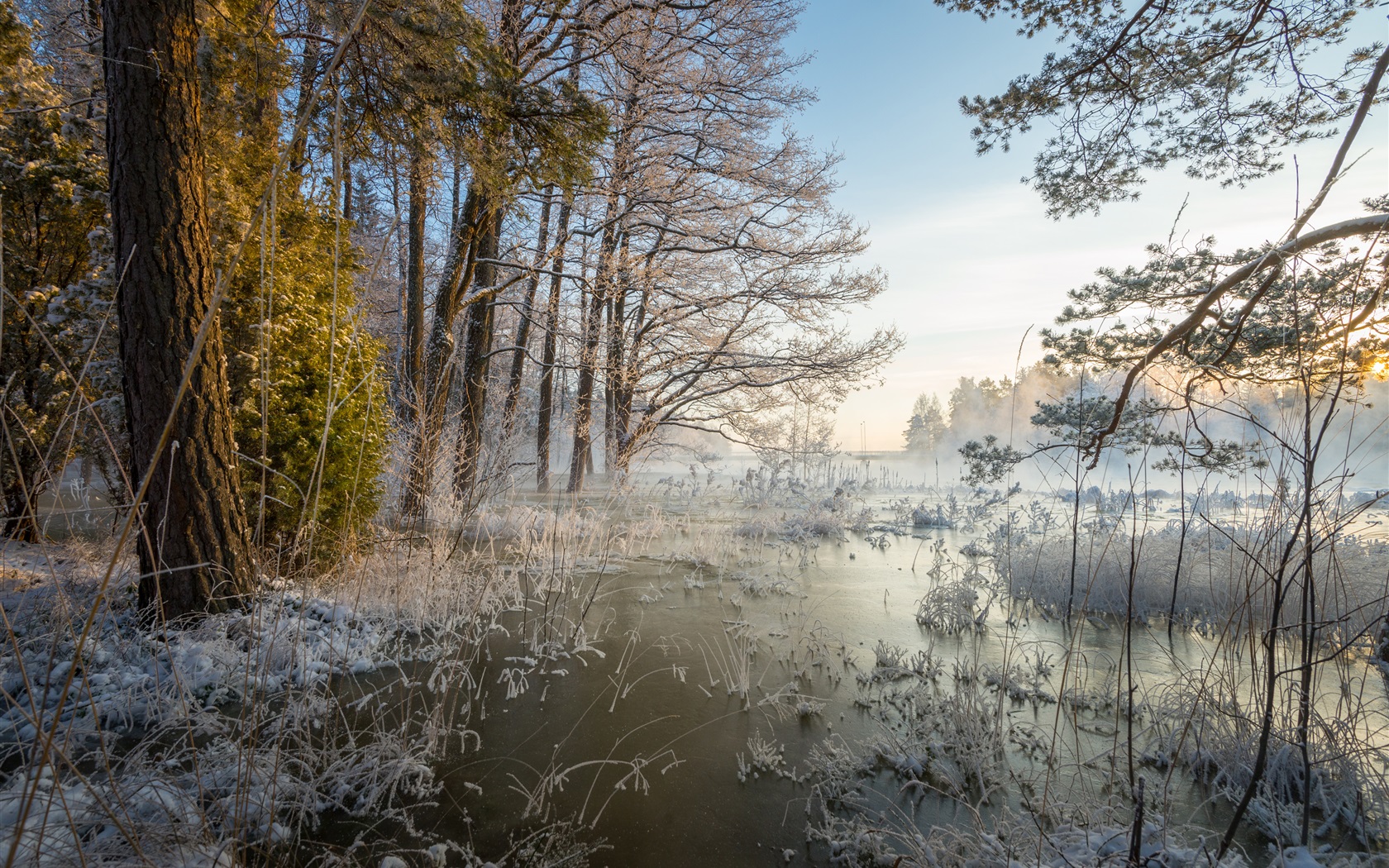 tapete hiver,natürliche landschaft,natur,baum,wasser,himmel