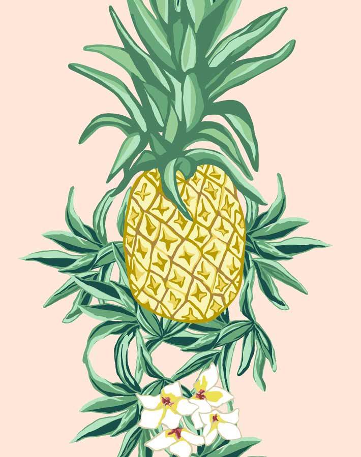 papier peint ananas,ananas,ananas,fruit,plante,jaune