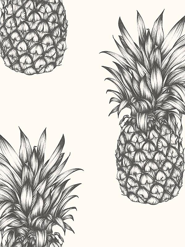 papier peint ananas,ananas,ananas,fruit,plante,dessin au trait