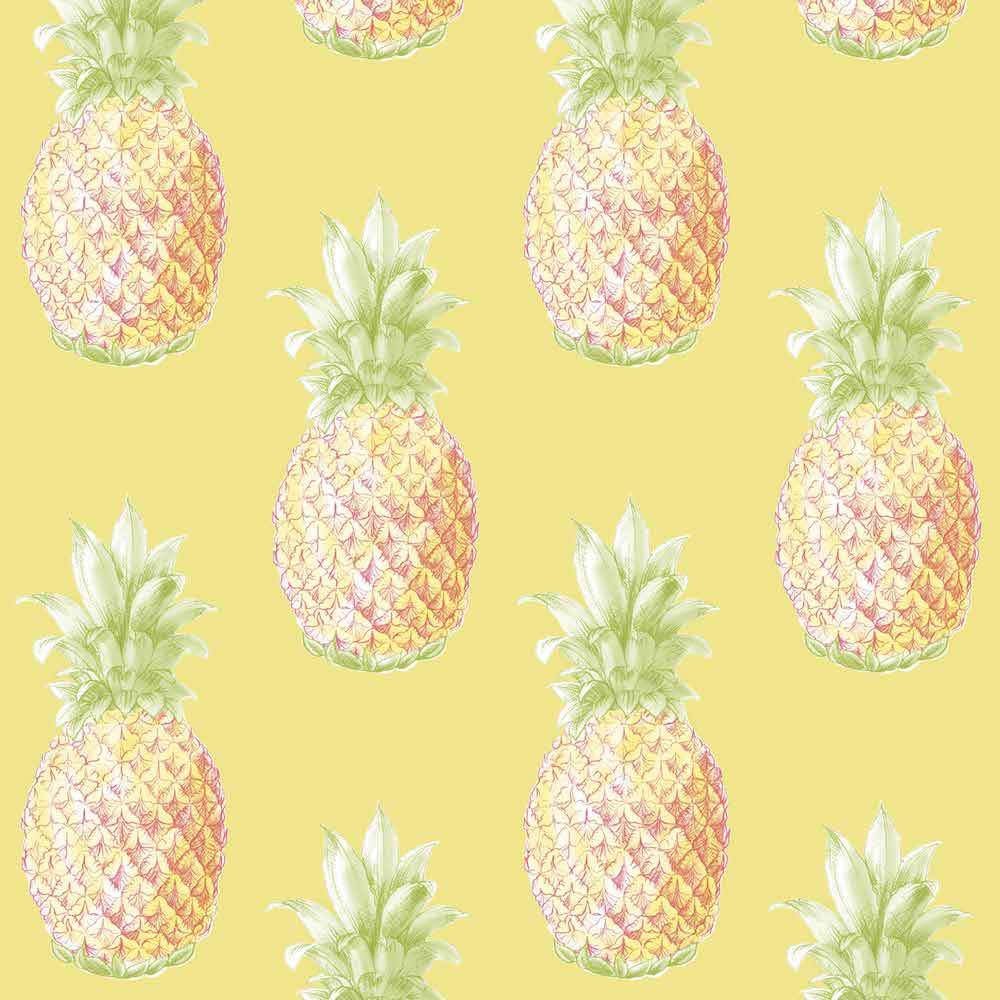 pineapple wallpaper,pineapple,ananas,fruit,plant,bromeliaceae (20031