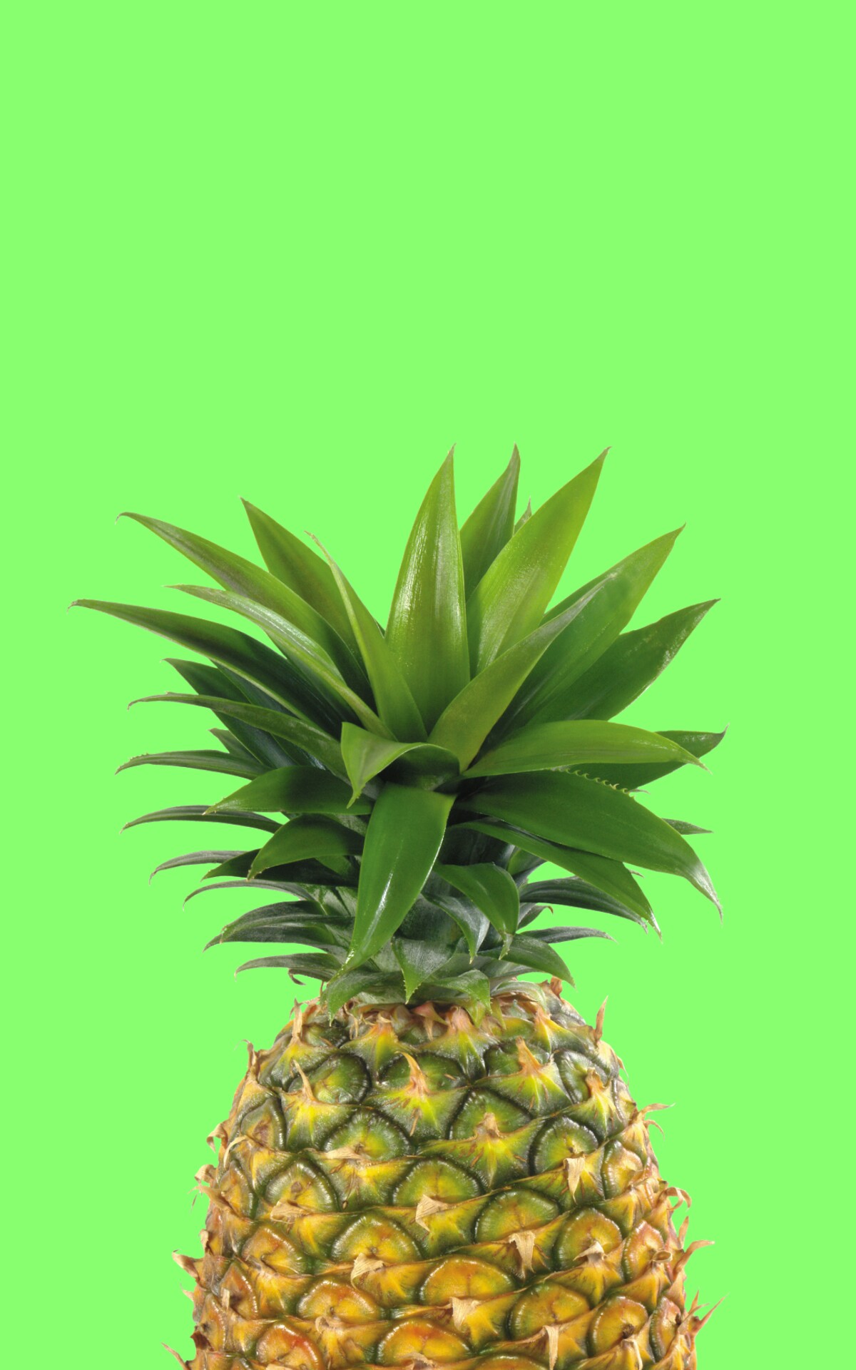 pineapple wallpaper,pineapple,ananas,fruit,plant,natural foods (20039