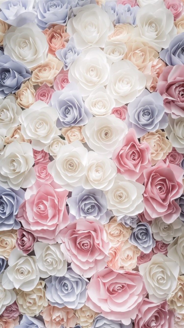 papel pintado cantik,flor,rosas de jardín,rosa,rosado,cortar flores
