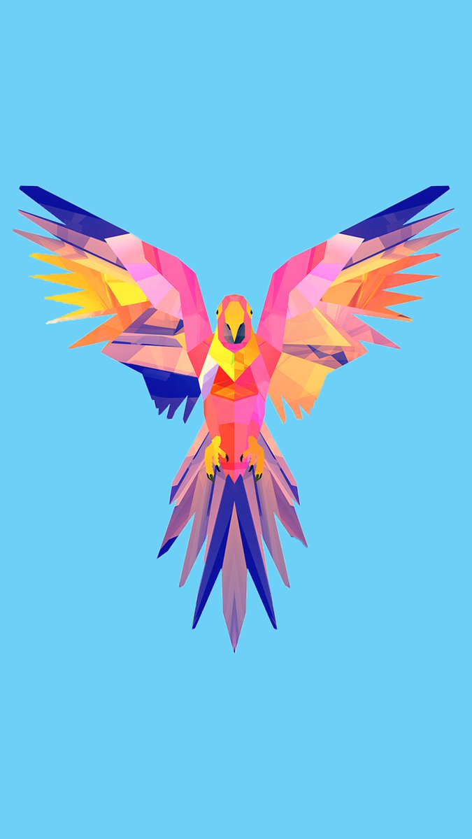logan wallpaper,bird,wing,parrot,illustration,macaw