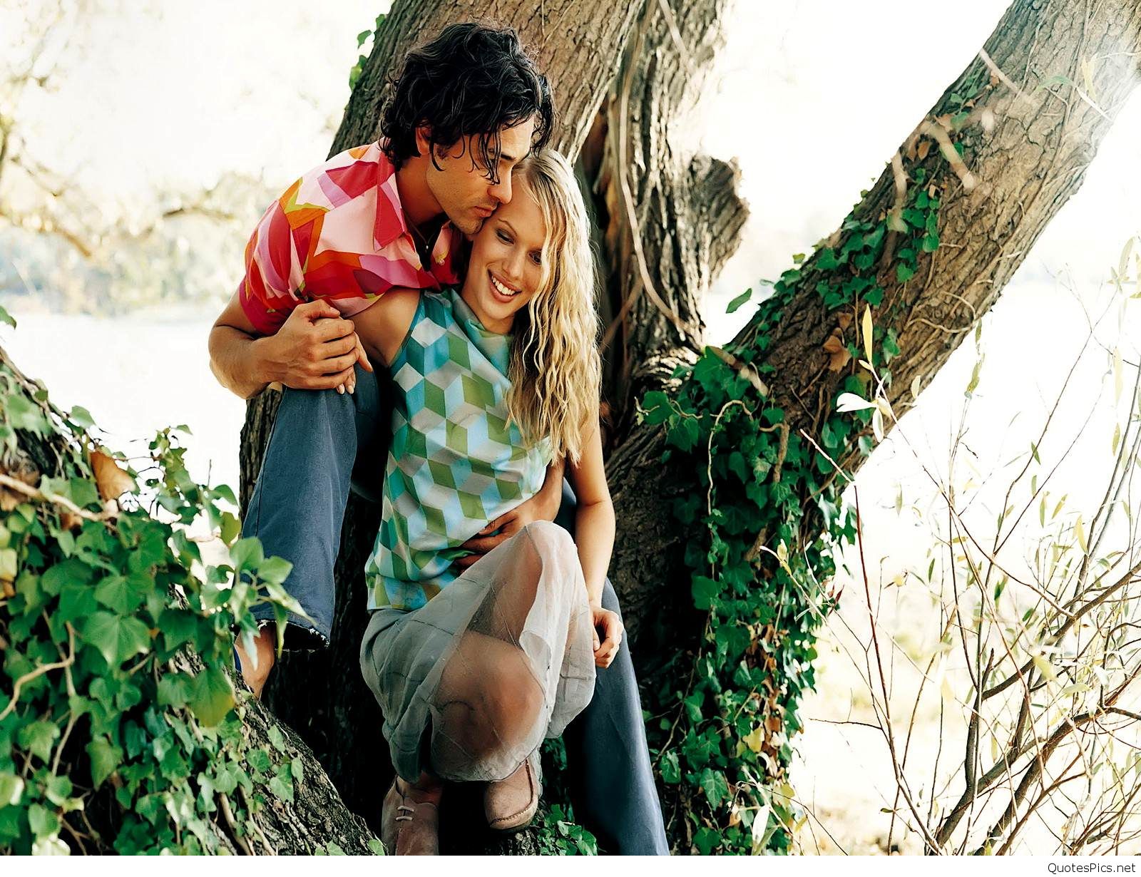 amor pareja fondos de pantalla,árbol,fotografía,planta