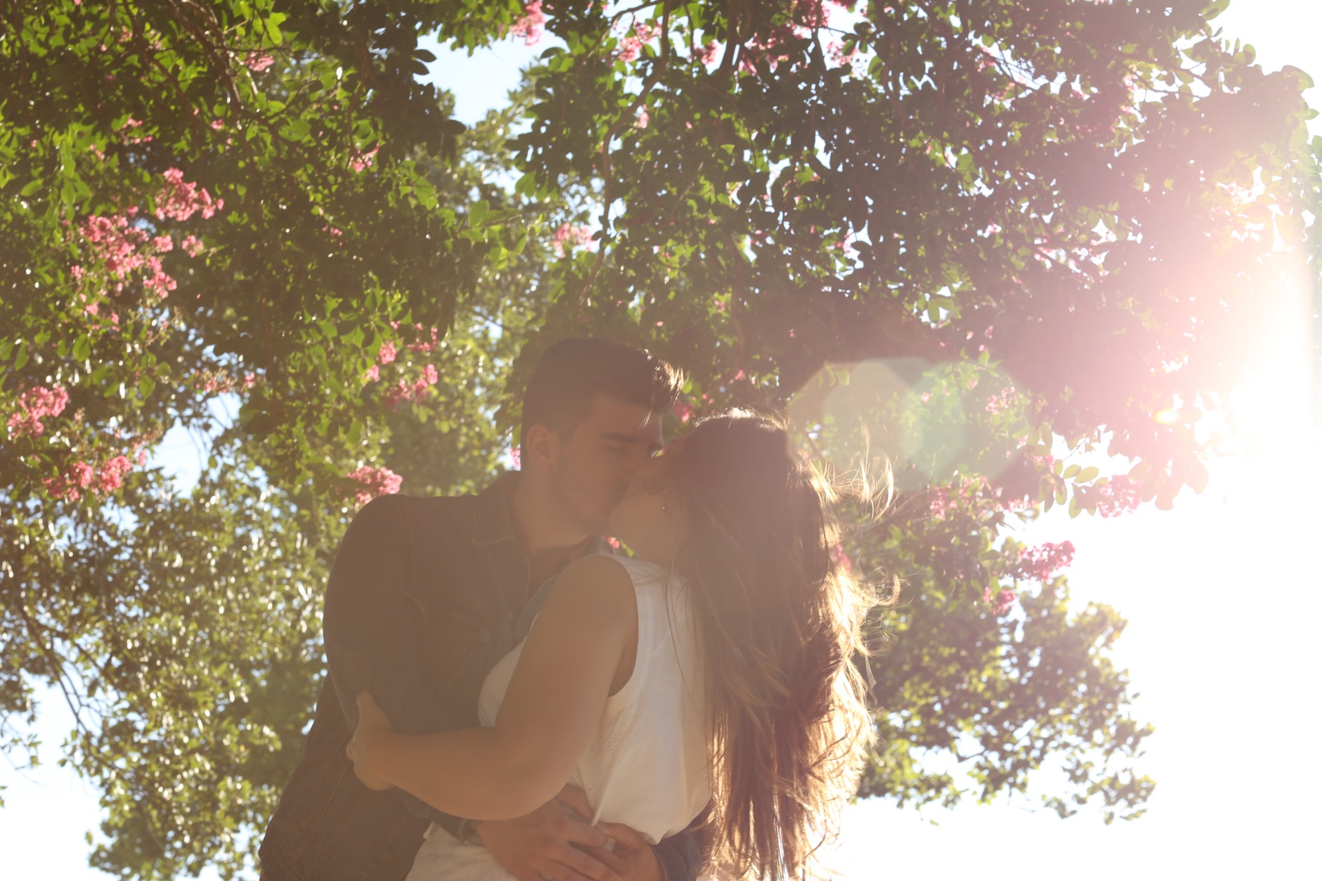 amore coppia sfondo,fotografia,luce del sole,leggero,albero,romanza