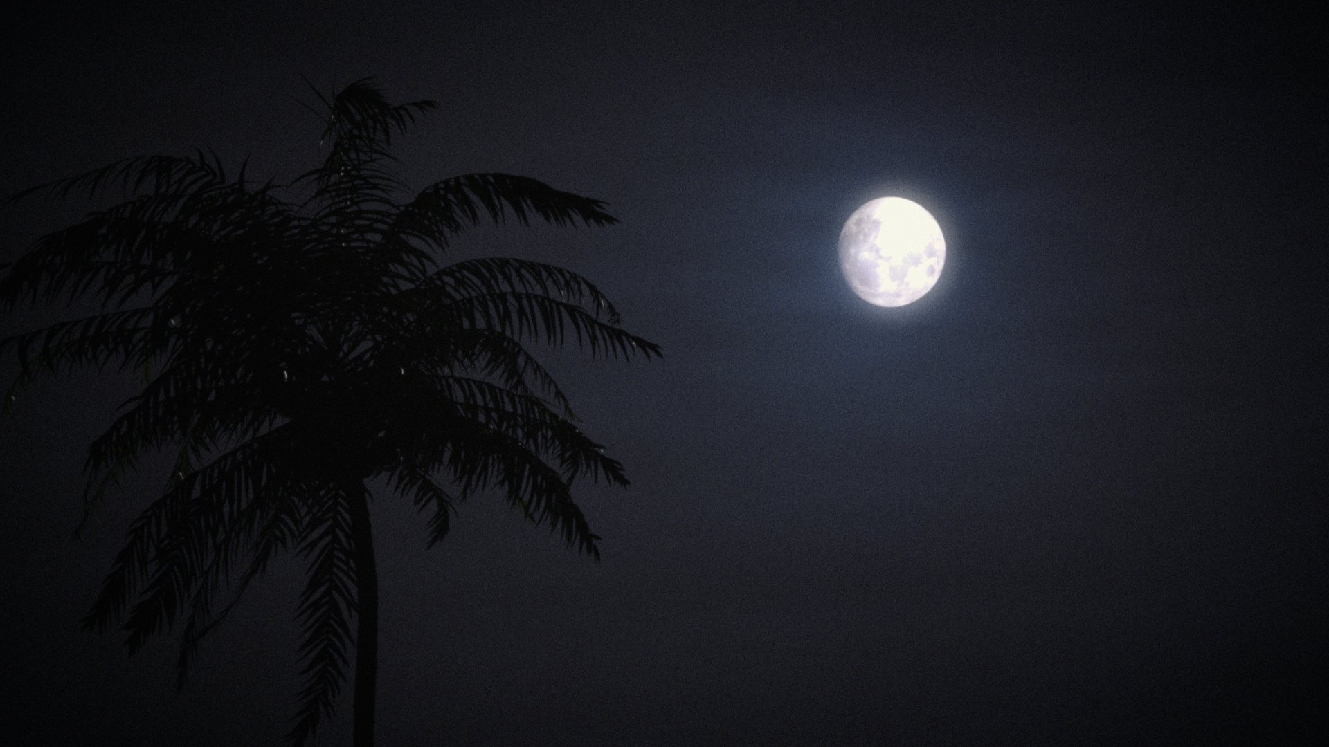 fonds d'écran éclairés,lune,ciel,pleine lune,objet astronomique,clair de lune