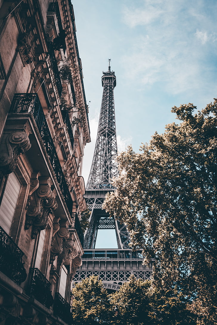 에펠 탑 바탕 화면,건축물,탑,건물,첨탑,시티