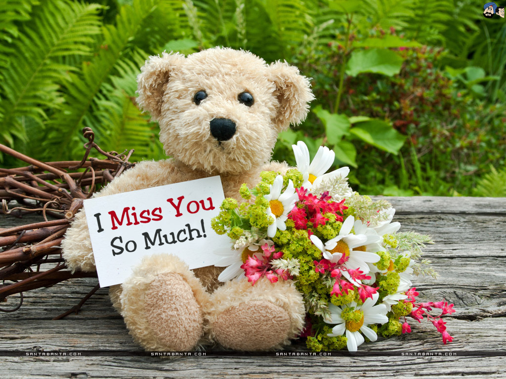 miss u wallpaper,teddy bear,stuffed toy,cut flowers,toy,flower
