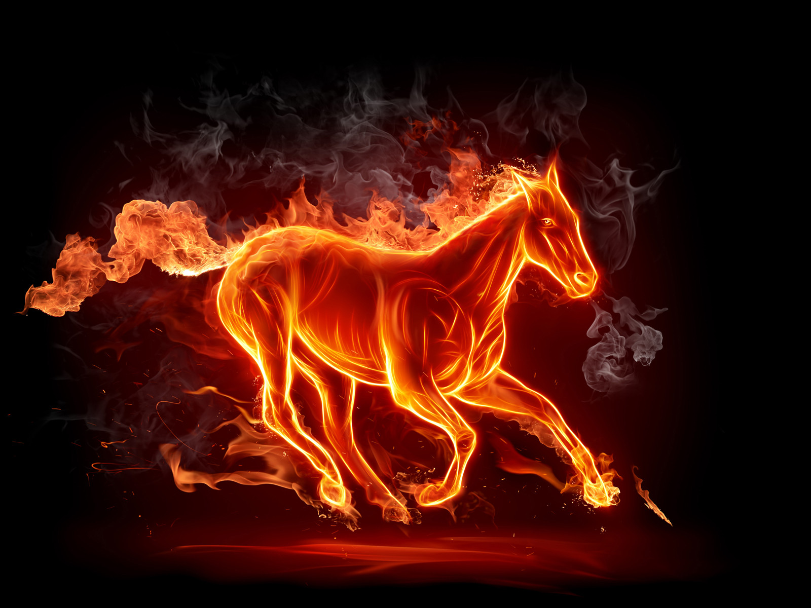 fondo de pantalla de peligro,fuego,calor,caballo,fuego,fuente