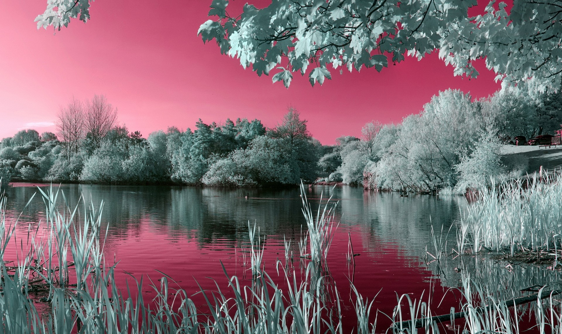 naturaleza fondos de pantalla hd descargar,paisaje natural,naturaleza,reflexión,rojo,agua
