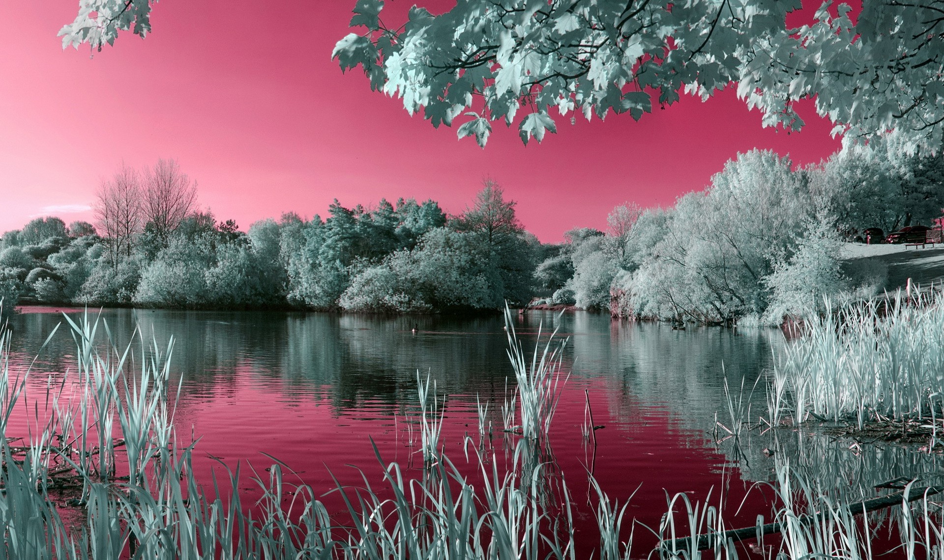 fond d'écran nature téléchargement hd,paysage naturel,la nature,réflexion,rouge,l'eau