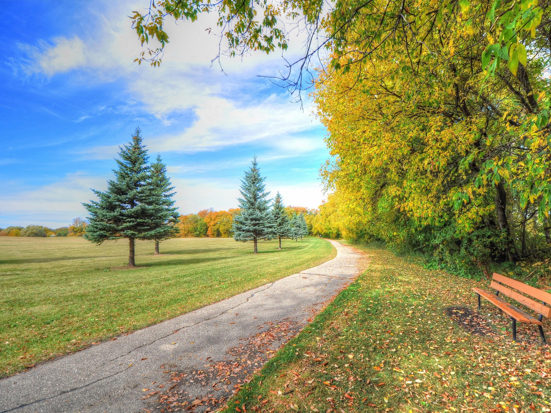 download di sfondi hd natura,paesaggio naturale,natura,albero,cielo,proprietà