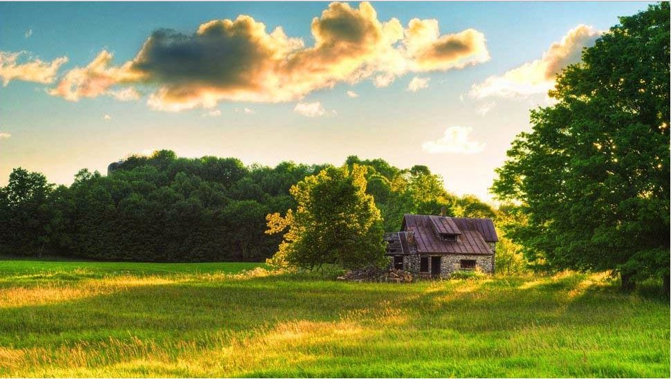 download di sfondi hd natura,paesaggio naturale,natura,cielo,prateria,verde