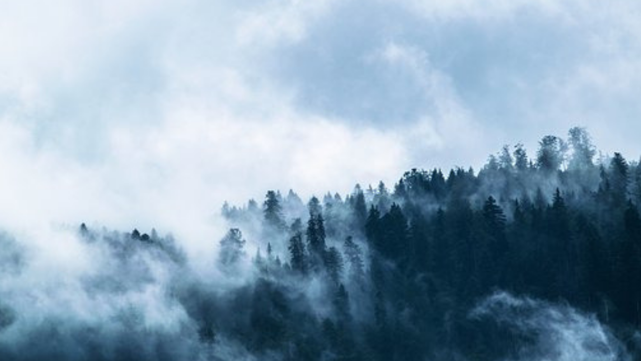 自然壁紙hdダウンロード,空,自然,青い,雲,靄