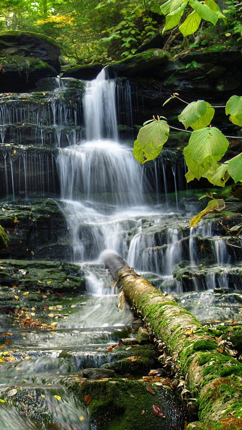 natur wallpaper hd download,wasserfall,wasservorräte,gewässer,natürliche landschaft,natur