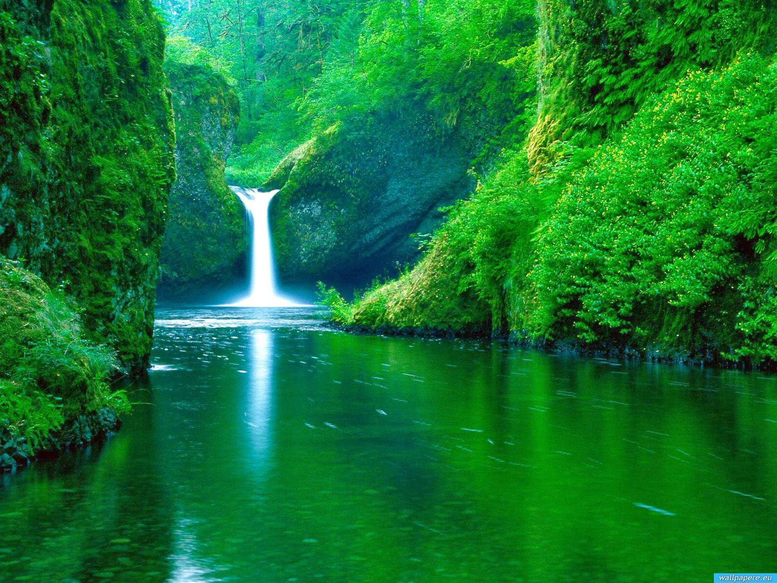 naturaleza fondo de pantalla hd para móvil,recursos hídricos,cuerpo de agua,paisaje natural,naturaleza,cascada