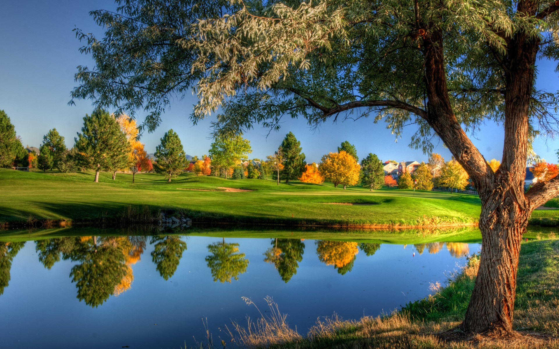 naturaleza fondo de pantalla hd para móvil,paisaje natural,naturaleza,reflexión,cielo,agua