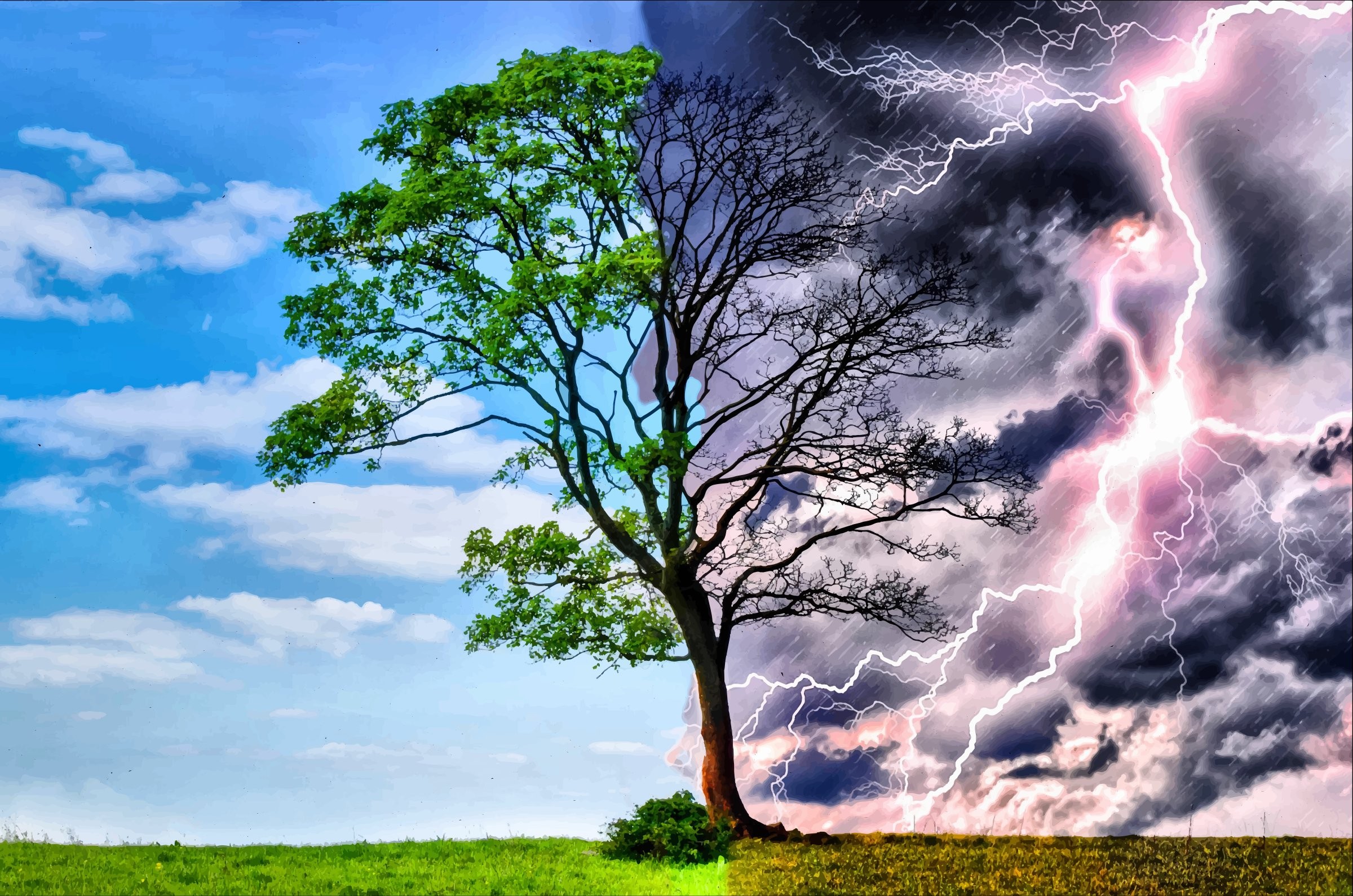 naturaleza fondo de pantalla hd para móvil,cielo,paisaje natural,naturaleza,nube,árbol