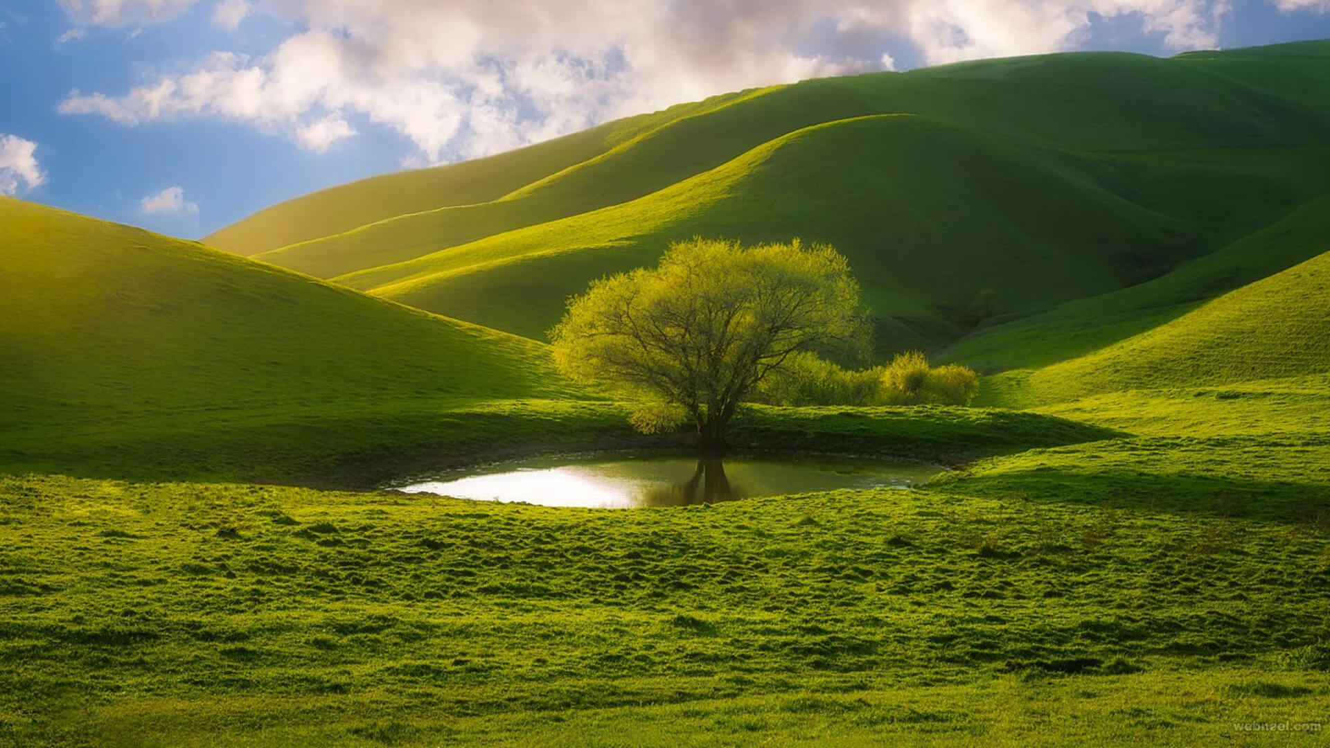 nature wallpaper full hd,green,natural landscape,nature,grassland,highland