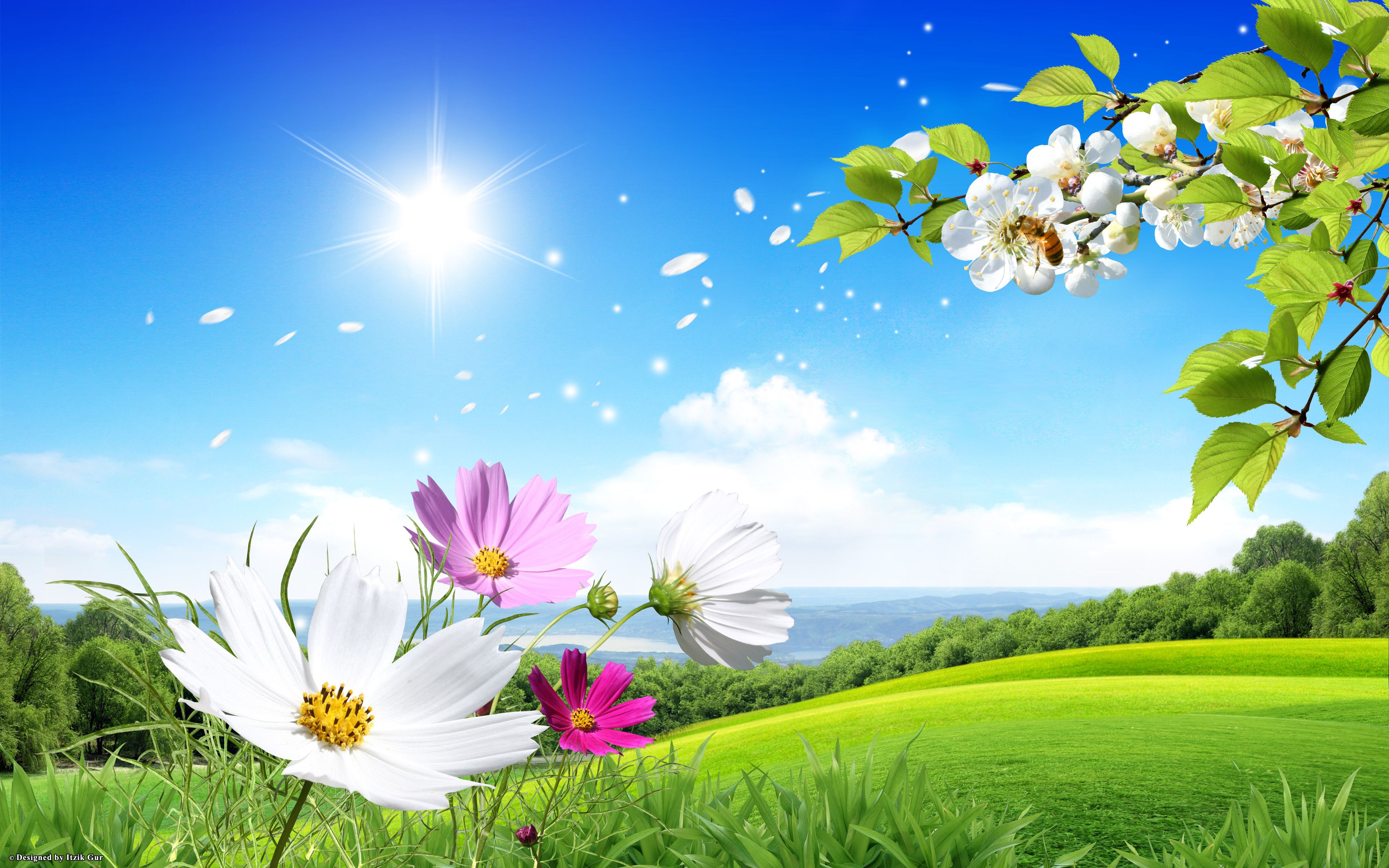 nature wallpaper full hd,natural landscape,people in nature,nature,sky,flower
