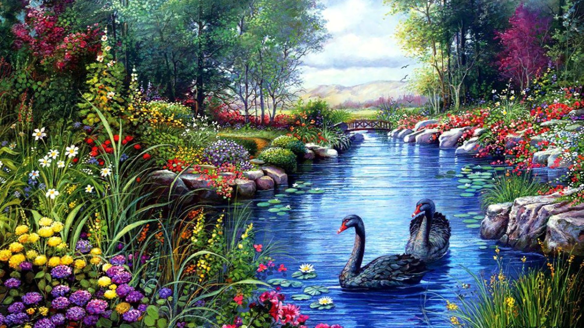 nature wallpaper full hd,natural landscape,swan,black swan,nature,pond