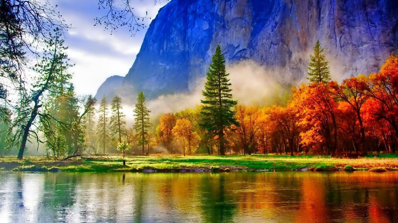 nature wallpaper full hd,nature,natural landscape,reflection,tree,wilderness