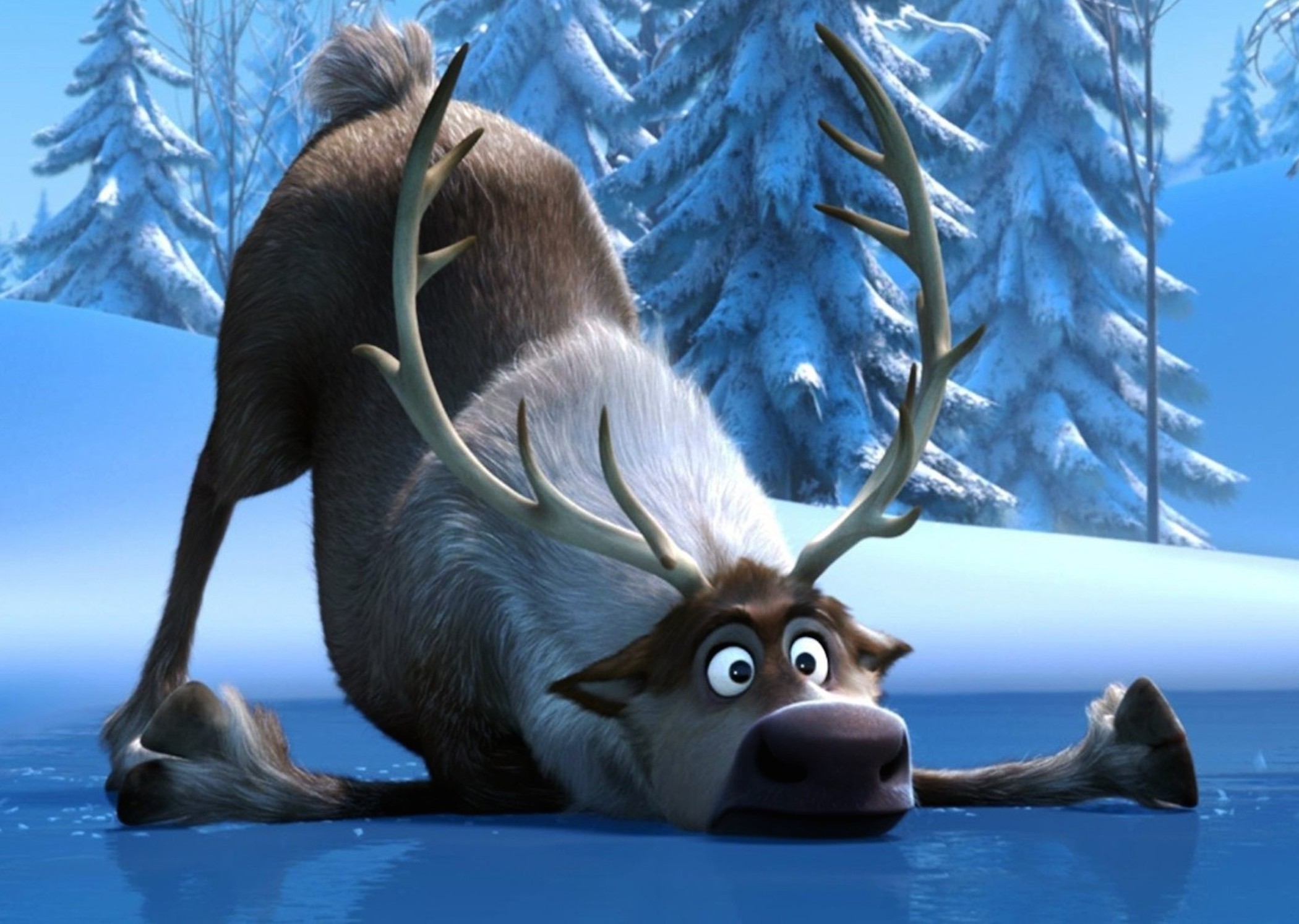 frozen wallpaper,reindeer,wildlife,organism,deer,adaptation