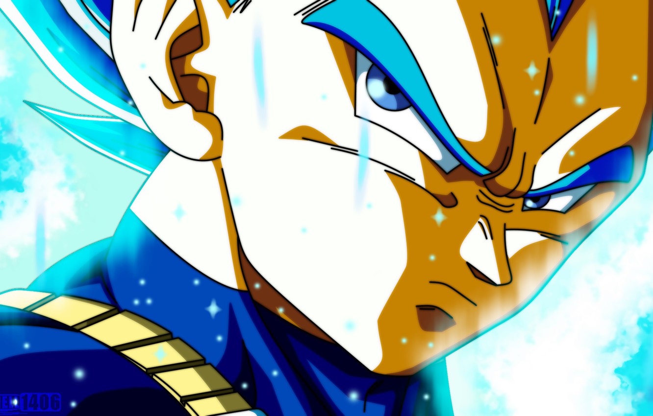 dragon ball super wallpaper,karikatur,anime,illustration,erfundener charakter,cg kunstwerk