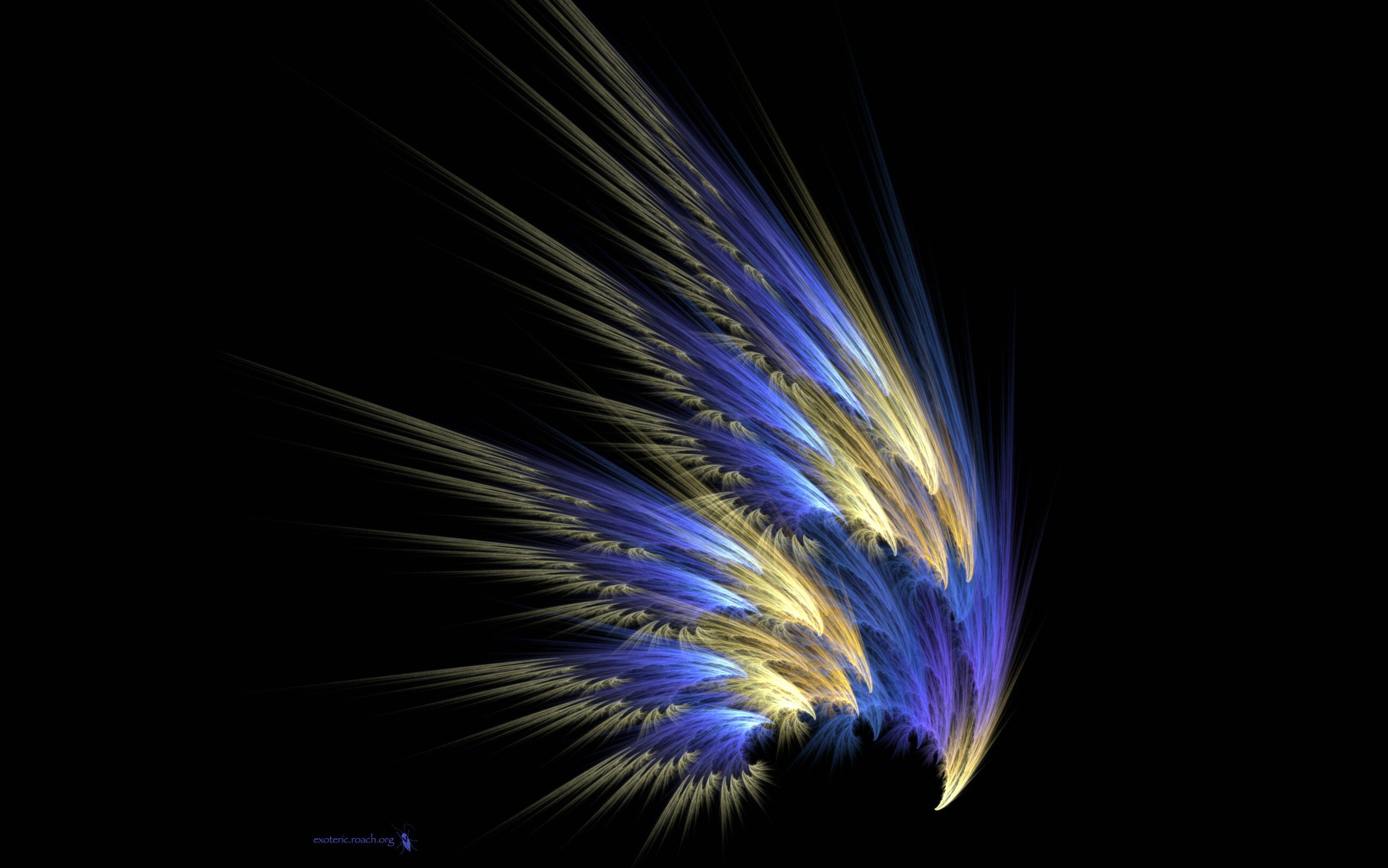 fonds d'écran amoled,plume,bleu,lumière,violet,art fractal
