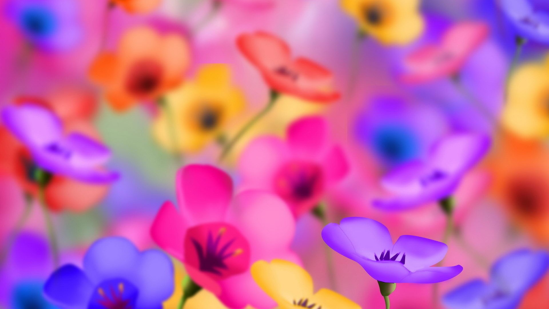 fond d'écran hd pour mobile 1920x1080,pétale,fleur,violet,violet,plante