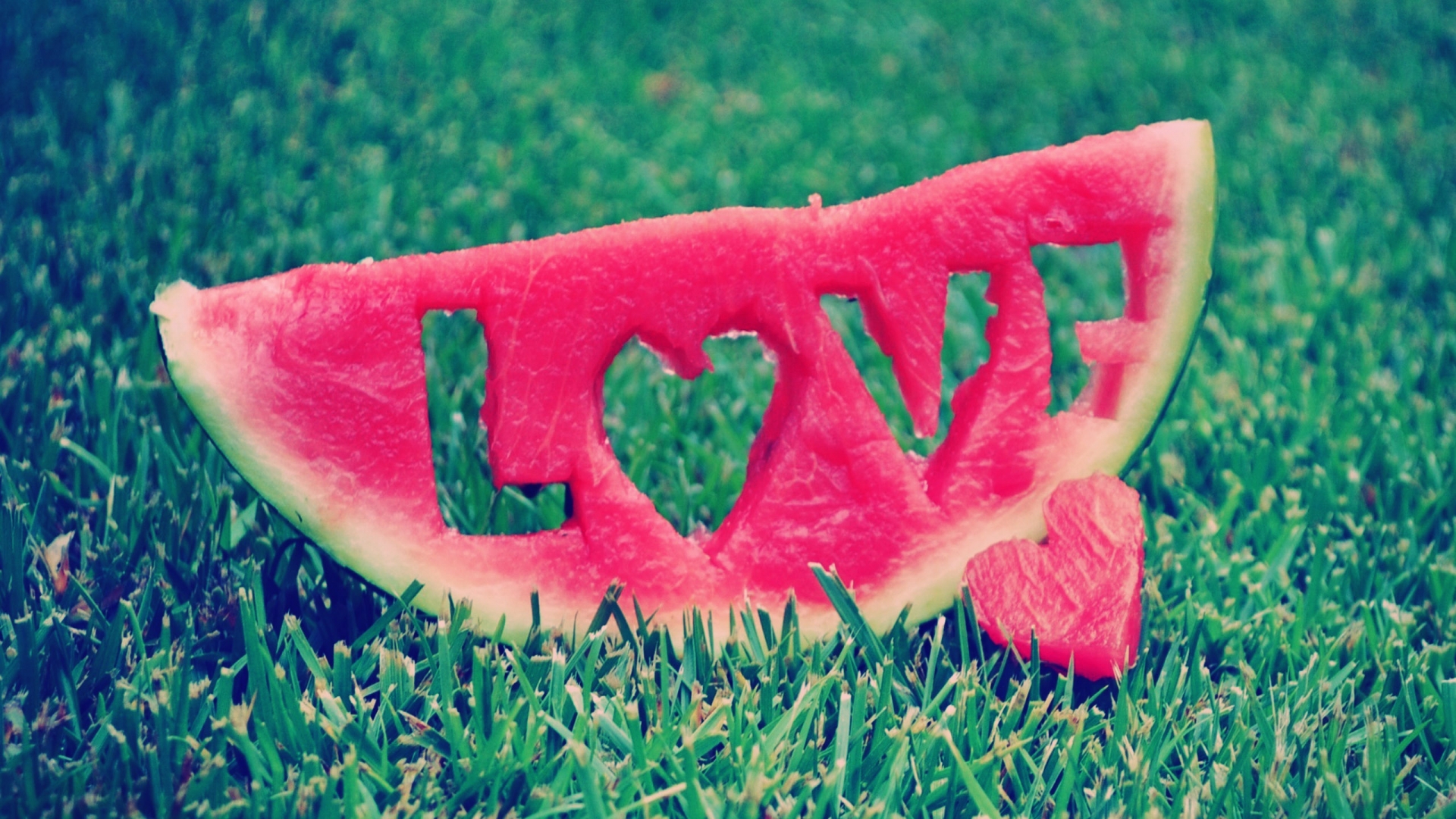 사랑 배경 hd 전체 크기,수박,멜론,초록,분홍,과일