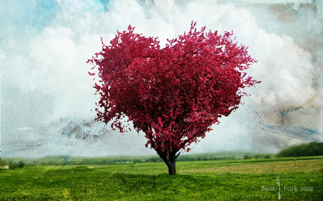 love wallpaper hd full size,tree,red,nature,natural landscape,plant