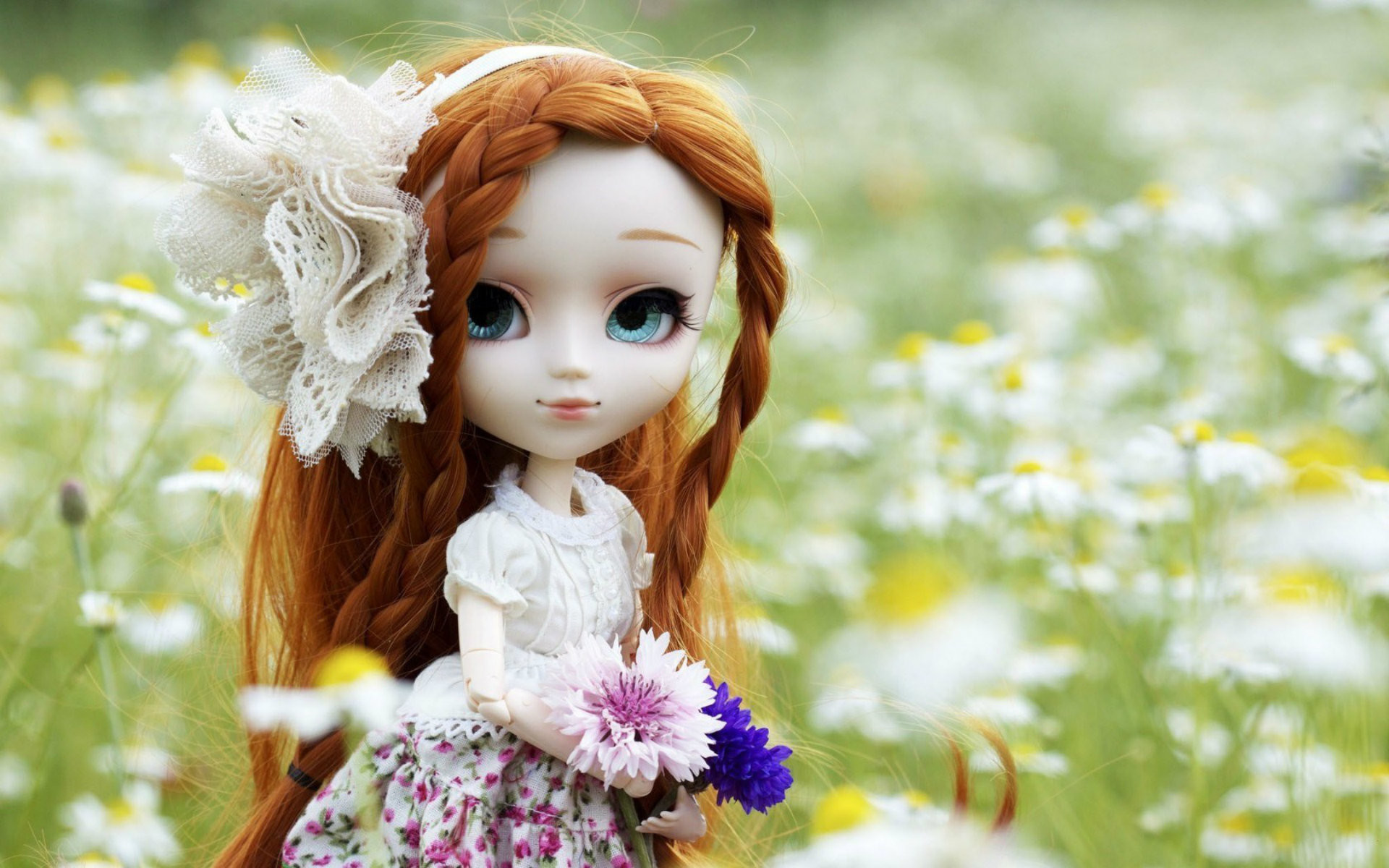 doll wallpaper,doll,people in nature,spring,toy,flower