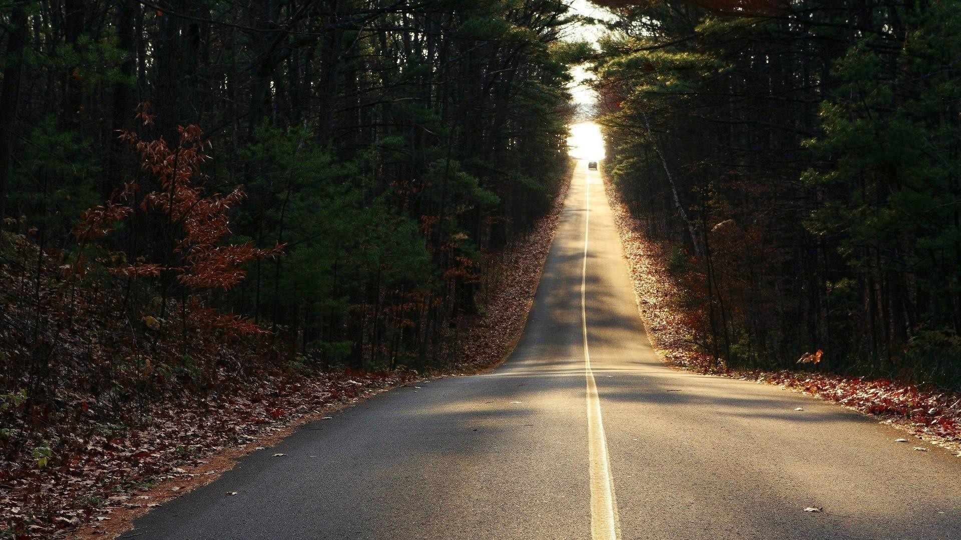 道路の壁紙,道路,自然,木,自然の風景,アスファルト