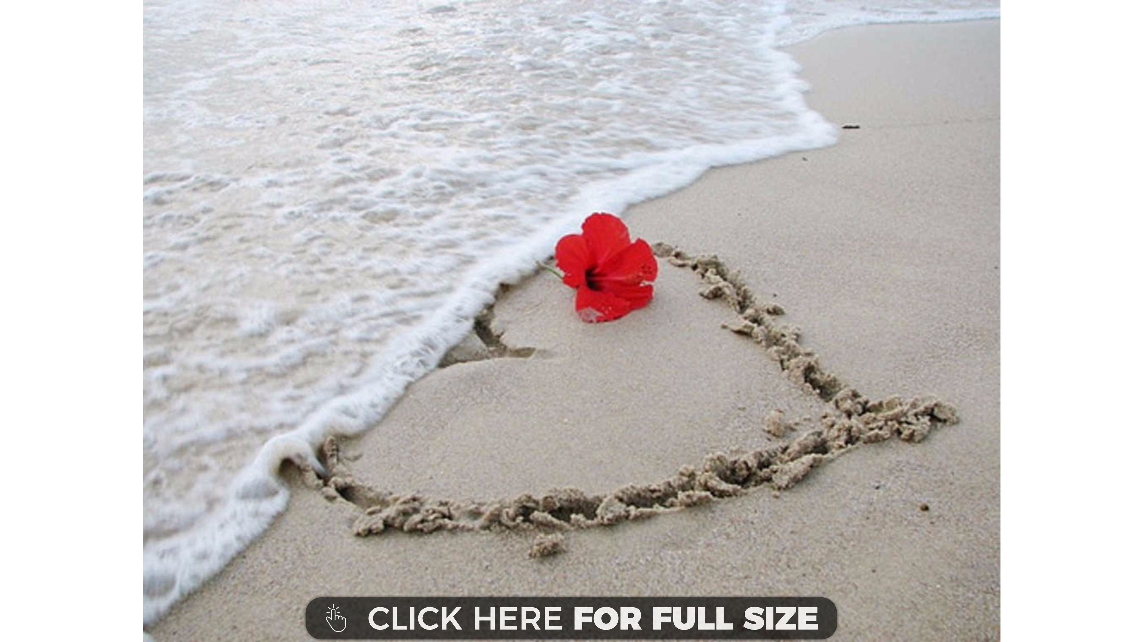 amour fond d'écran hd pleine taille,le sable,amour,texte,chaîne,pétale