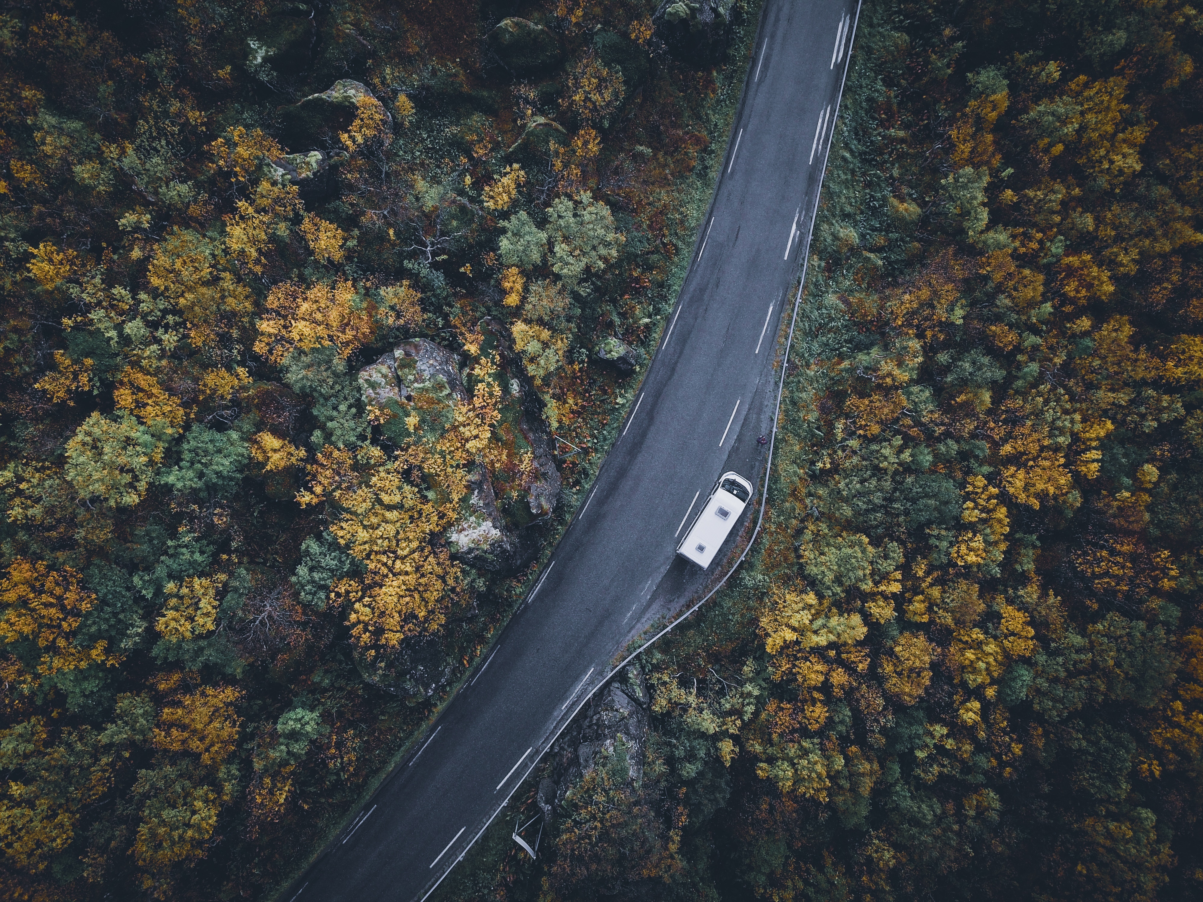 road wallpaper,leaf,sky,road,aerial photography,infrastructure