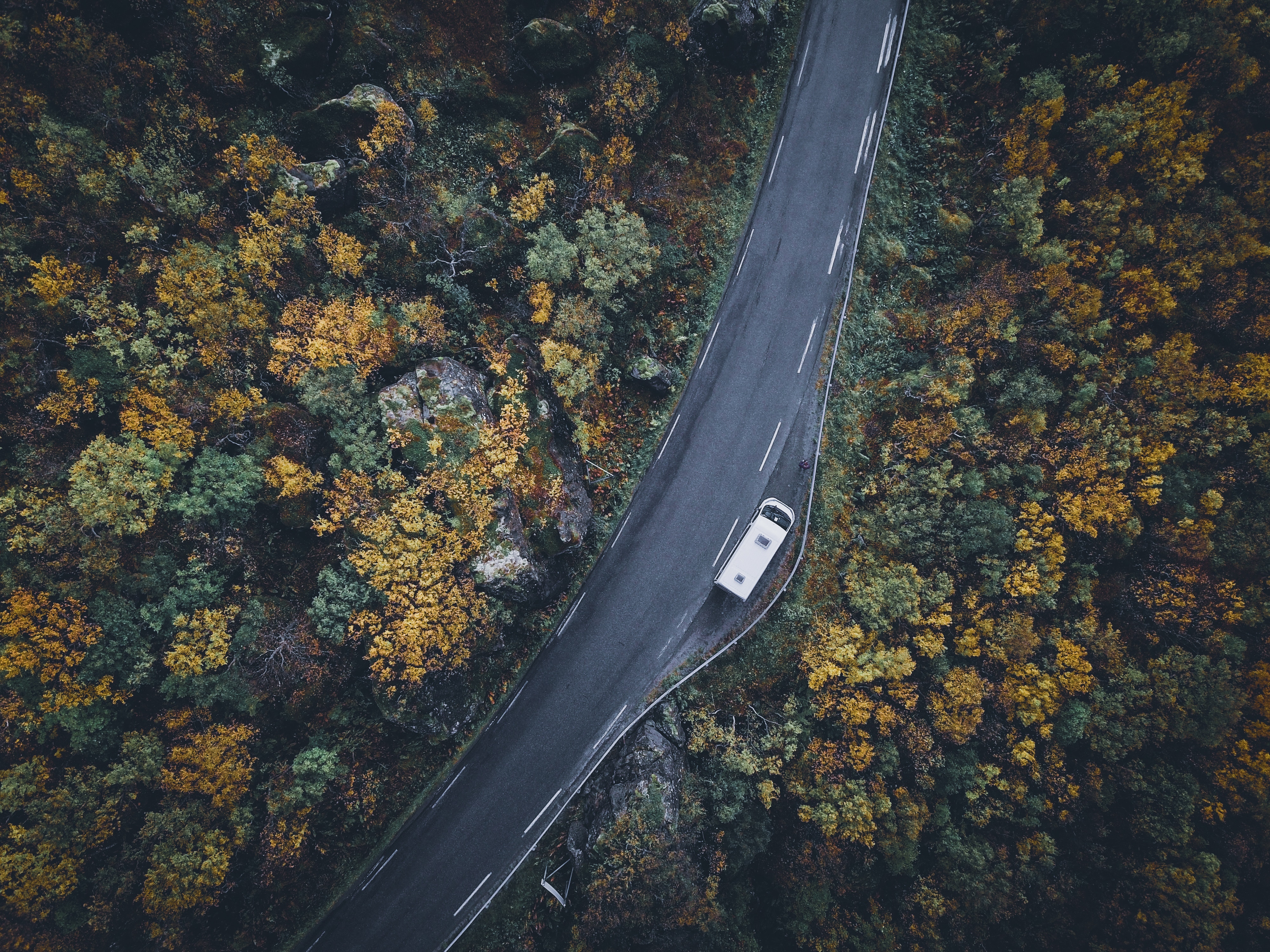 道路の壁紙,葉,空,道路,空中写真,木