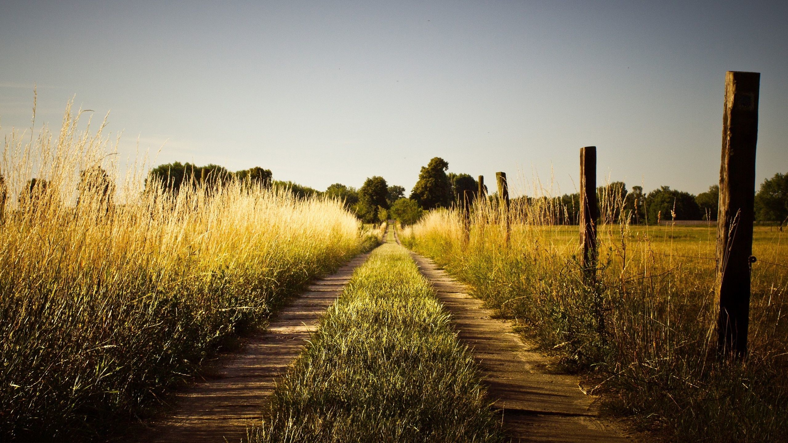 straßentapete,natürliche landschaft,natur,gras,himmel,feld