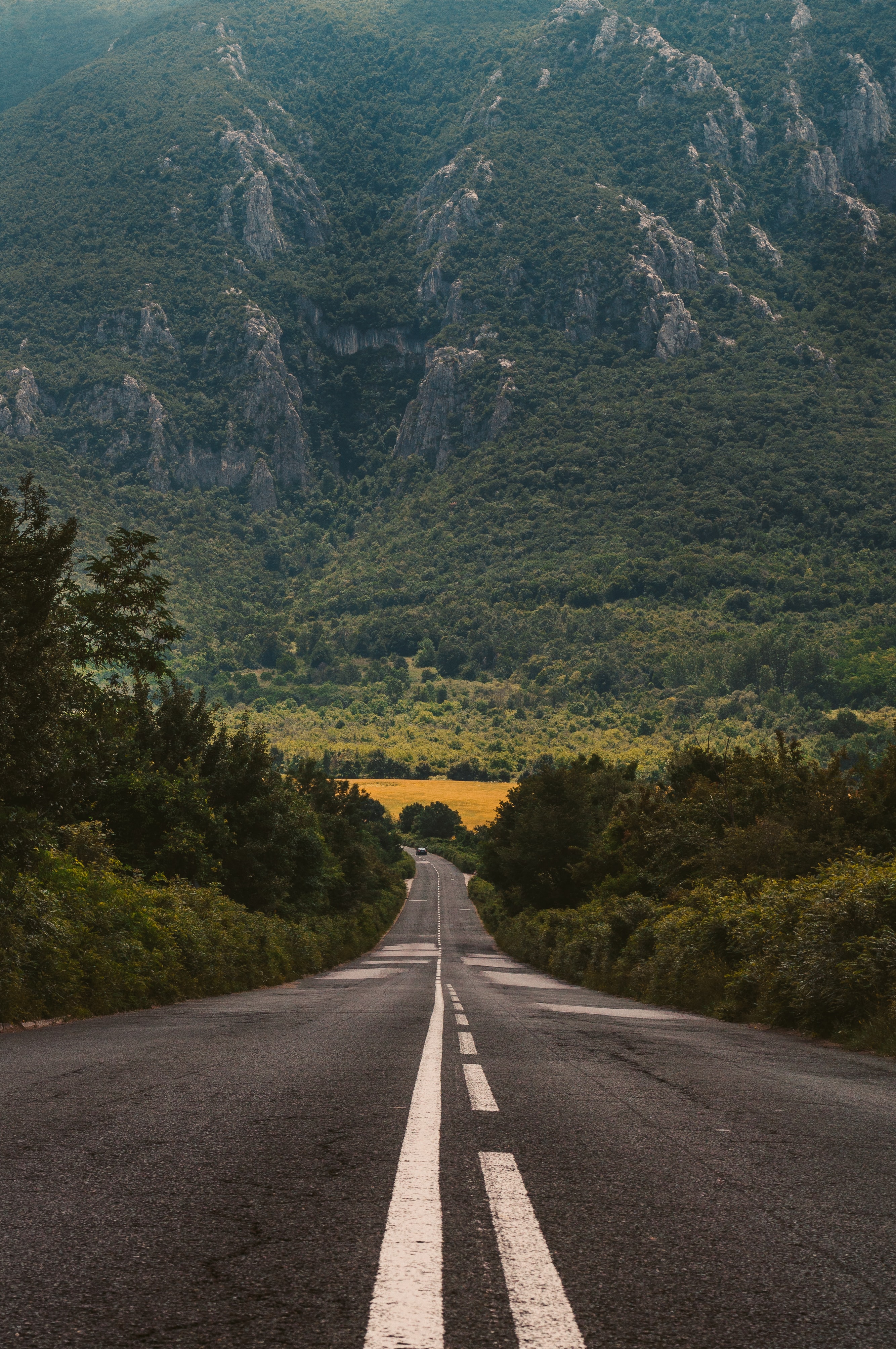 道路の壁紙,道路,自然の風景,自然,高速道路,アスファルト