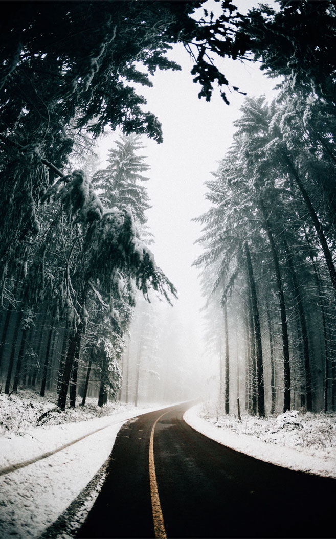 road wallpaper,natural landscape,nature,tree,snow,atmospheric phenomenon