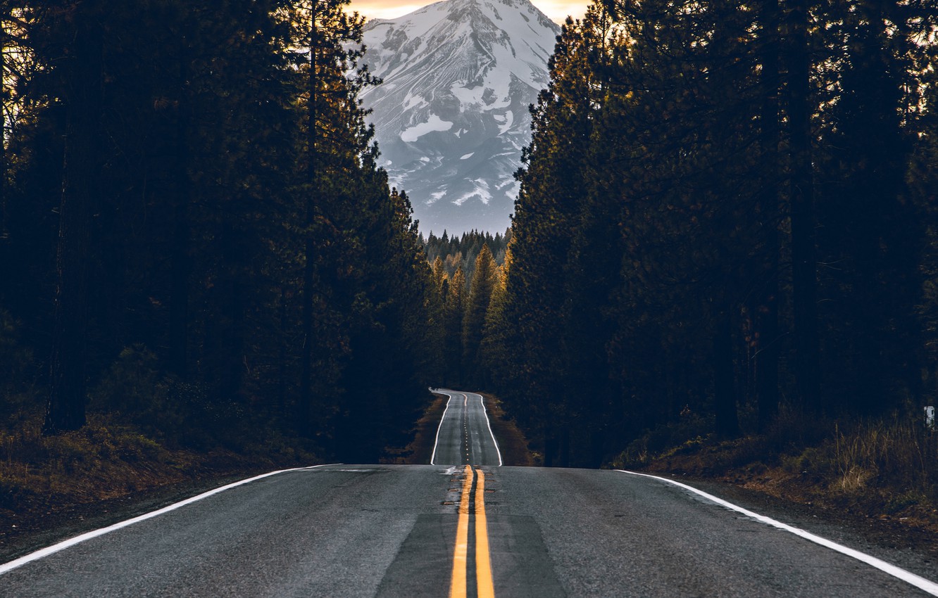 road wallpaper,road,sky,tree,natural landscape,asphalt