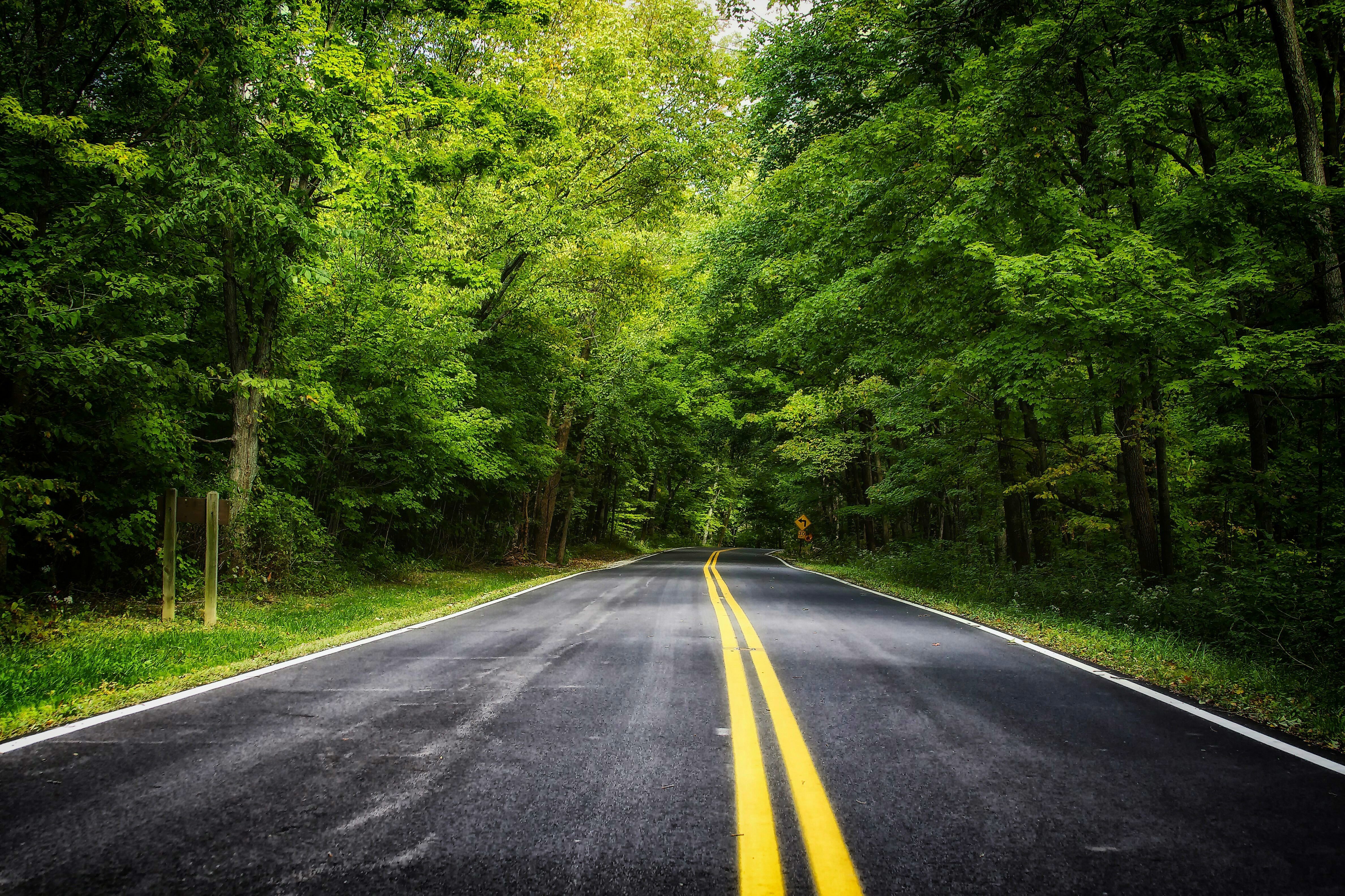 road wallpaper,road,asphalt,nature,natural landscape,highway