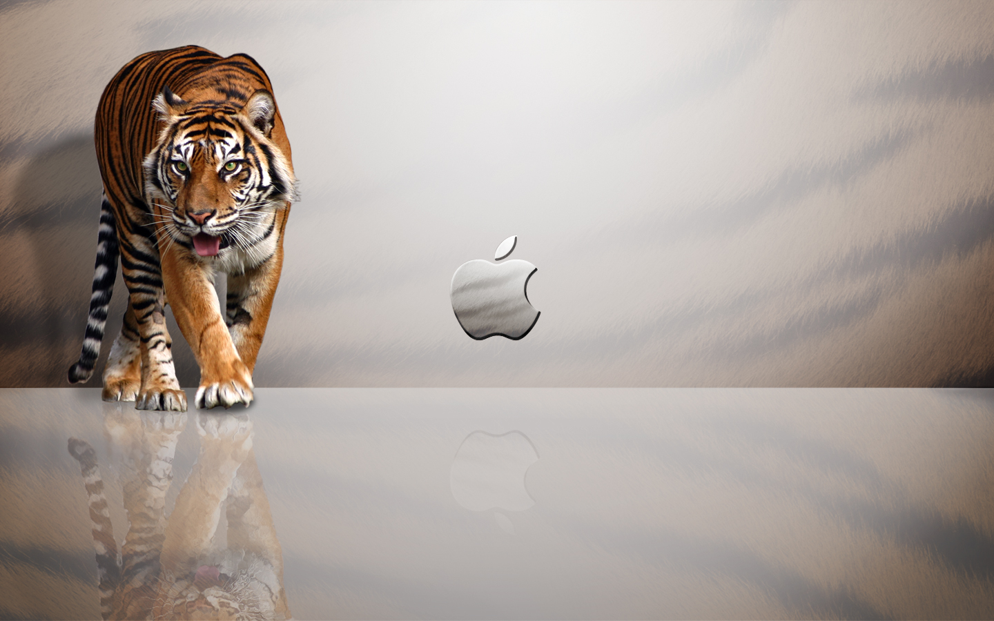 fond d'écran macbook pro,tigre du bengale,félidés,tigre,faune,tigre de sibérie