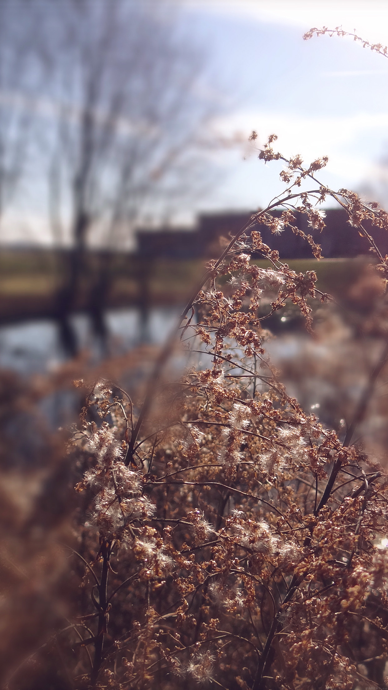 Traurige Tapete Hd Natur Zweig Naturliche Landschaft Himmel Fruhling 23338 Wallpaperuse
