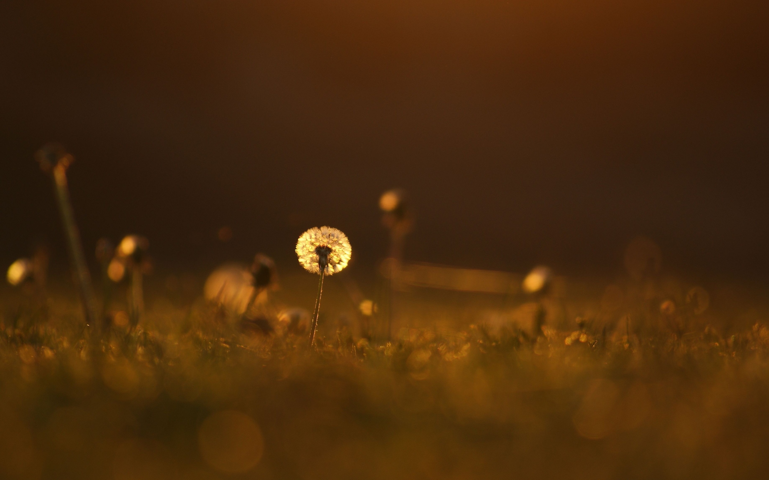 fond d'écran d'humeur,l'eau,jaune,lumière,ciel,orange