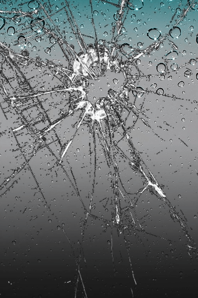 cracked screen wallpaper,water,reflection,sky,line,branch